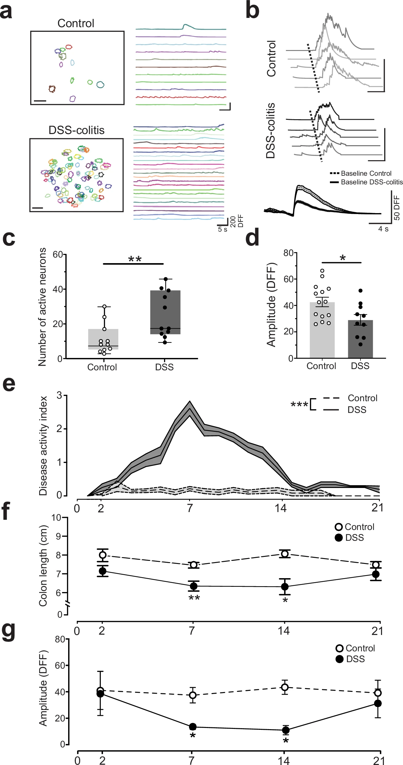 An inflammatory state increases the number of active nodose ganglia neurons but decreases their response levels.