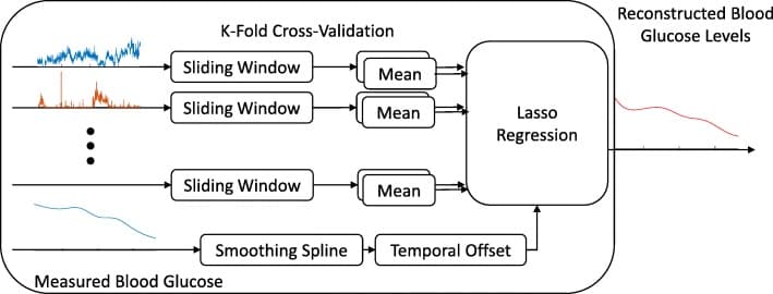 The neural decoder: sliding windows of compound action potential rates fed through lasso regression with cross-validation.
