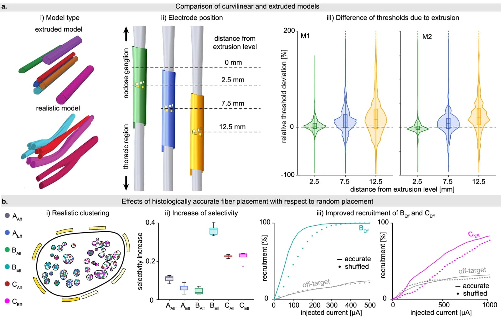 Histologically and morphologically realistic nerve models compared with simplified ones.